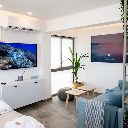 Vitamin Sea Studio * Zygi