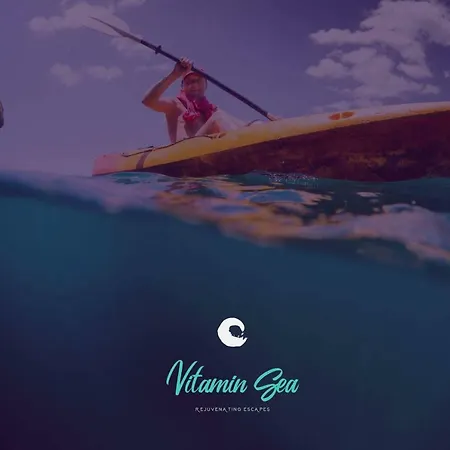 Vitamin Sea Studio Zygi