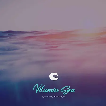 Vitamin Sea Studio