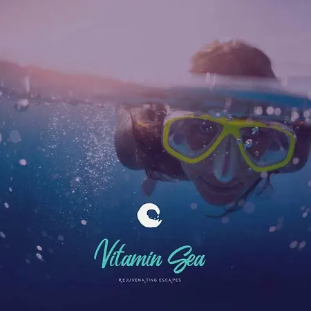 Vitamin Sea Studio * Zygi
